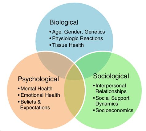 [2] An illustration of the biopsychosocial model comprised of... | Download Scientific Diagram