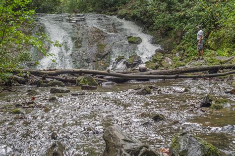 Meanderthals | Deep Creek Waterfalls, Great Smoky Mountains National Park