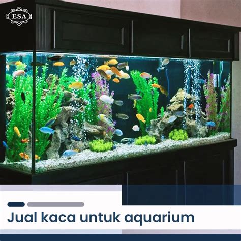 Jual Kaca Untuk Aquarium