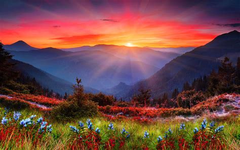 Category Nature Wallpaper HD - Page 6 of 20 - dlwallhd.com | Beautiful nature, Sunrise mountain ...