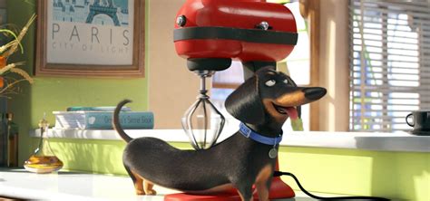 News & Views - The Secret Life of Pets 2 leads this week's new releases - News - Into Film