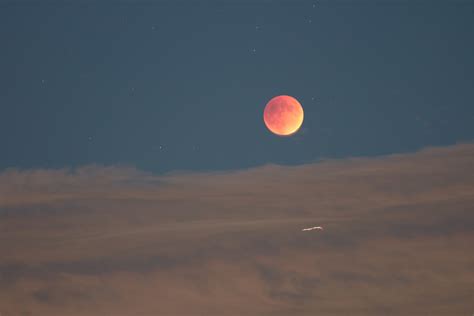 Harvest Moon Lunar Eclipse | Carl Alexander