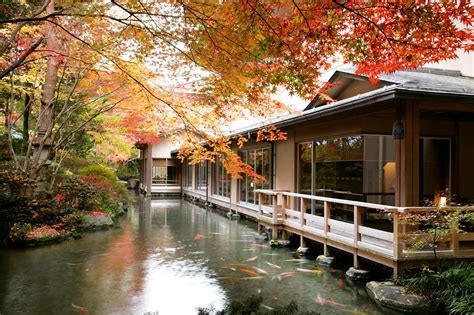 下呂温泉 水明館の口コミ（レビュー） - ホテル・旅館の宿泊予約はRelux（リラックス）