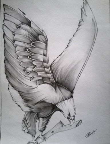 Art & Collectibles Pencil Sketch Digital files for printing Eagle Drawing JPEG and PNG Digital ...