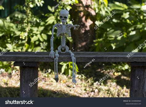 Skeleton Sitting On Bench Celebrating Halloween Stock Photo 2209908965 | Shutterstock