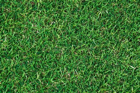 Football Field Green Grass Pattern Textured Background Stock Photo ...