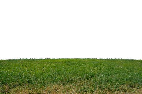 Grass Ground PNG Pic - PNG All | PNG All