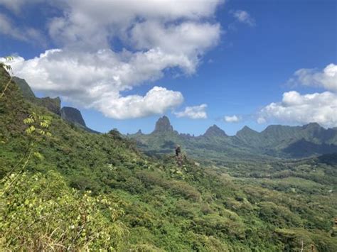 Best 10 Trails and Hikes in Moorea | AllTrails