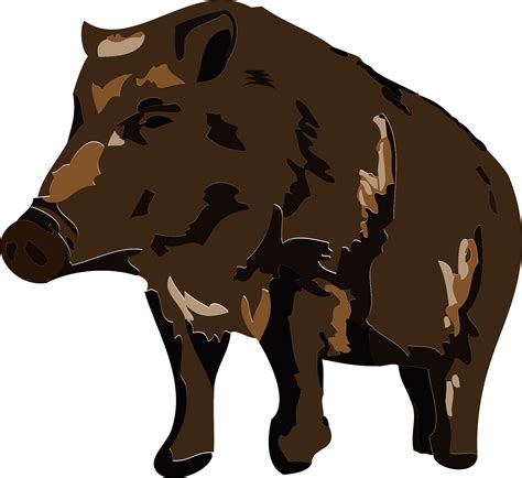 Wild Boar PNG Image, Japanese Cute Wild Boar, Cartoon, Lovely - Clip Art Library