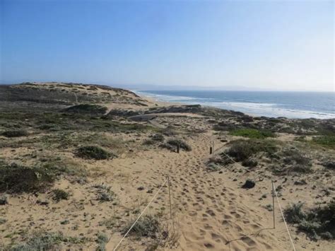 Marina State Beach in Marina, CA - California Beaches