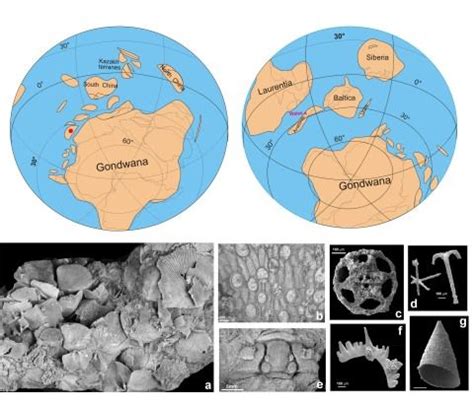 What is the lost world of Gondwana?