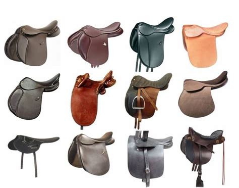 English saddle variations - can you identify each type? | Horse saddles, Horse accessories ...