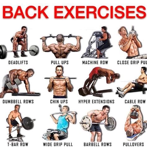 BEST BACK EXERCISES . . 3 reasons why you should workout your back . Strong lats give your ...