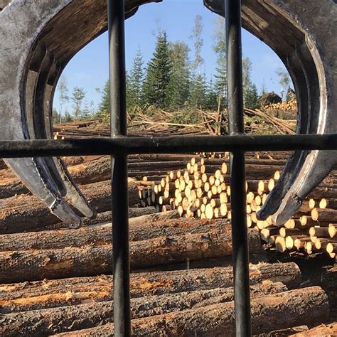 Log Loader Grapple - Grapple Tips for Forestry & Logging Industry