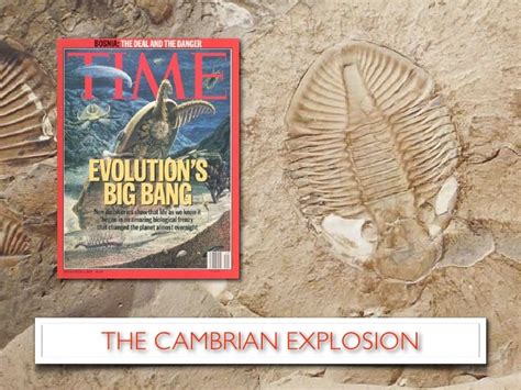 The Cambrian Explosion