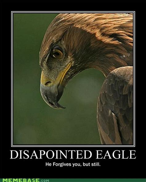 DISAPPOINTED EAGLE - Very Demotivational - Demotivational Posters ...