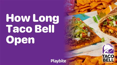 How Long Is Taco Bell Open? Your Guide to Late-Night Munchies - Playbite
