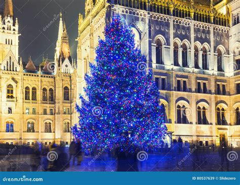 Christmas Tree in Front Off Parliament Building Stock Image - Image of front, budapest: 80537639