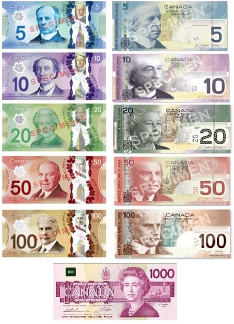 Canadian new and old money | Canadian money, Canadian dollar, Money ...