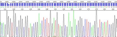 Dna Sequencing Understanding The Genetic Code - Bank2home.com