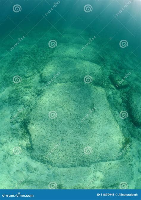 Bimini Wall stock image. Image of seascape, rock, bahamas - 31899945