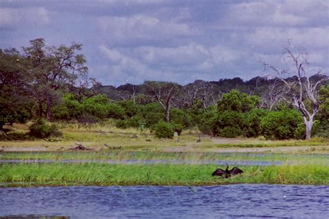 Elevation of Kwekwe High School, Kwekwe, Zimbabwe - Topographic Map - Altitude Map