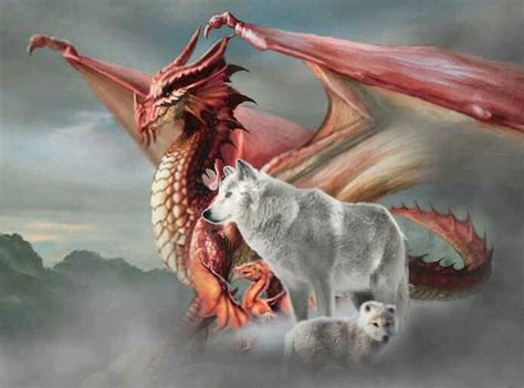 Dragon and wolves | Dragon wolf, Dragon pictures, Dragon artwork