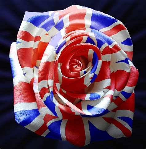 British Rose | I did this for a photoshop competition over a… | Flickr