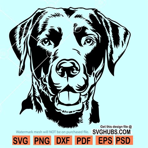 Labrador Dog Svg, Labrador svg, black labrador svg