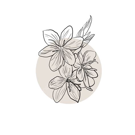 Gambar Bunga Flower, Flower, Hiasan, Flowers Art PNG Transparent ...