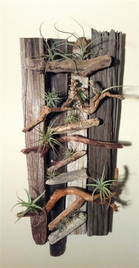 Drift Wood & Air Plant Wall Art | Plant display ideas, Air plant ...