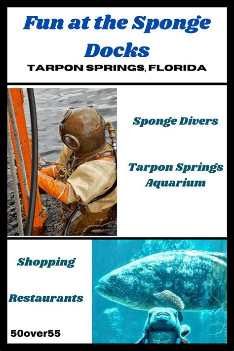 Sponge Docks at Tarpon Springs | Florida travel guide, Florida family ...