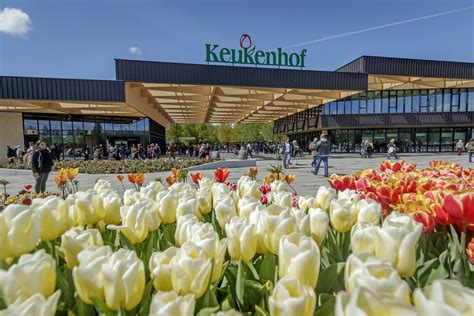 Keukenhof Tulip Gardens (Amsterdam, Holland) - Opening hours, prices