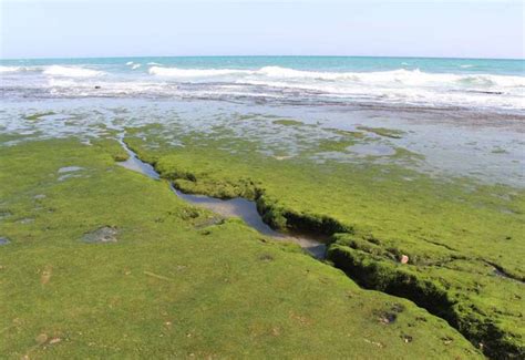 Chabahar Beautiful Beaches - Iran Travel Guide - Trip Yar