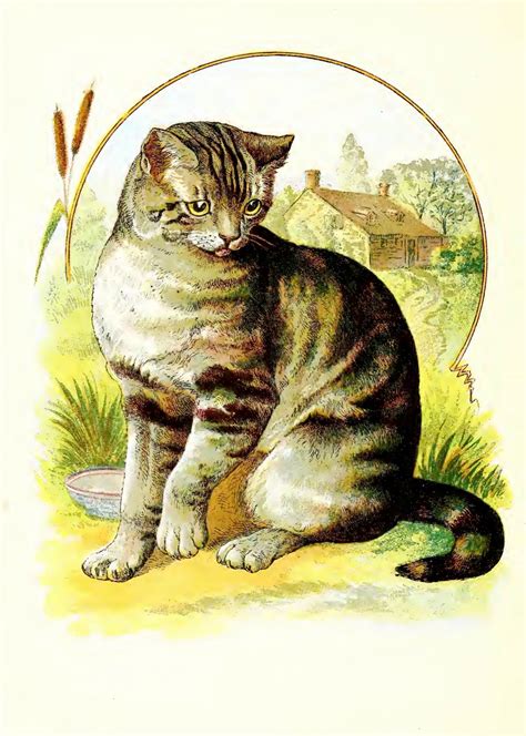 Cat Vintage Art Old Free Stock Photo - Public Domain Pictures