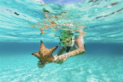 Why Travelers Should Try Snorkeling In Cancun - Cancun Sun