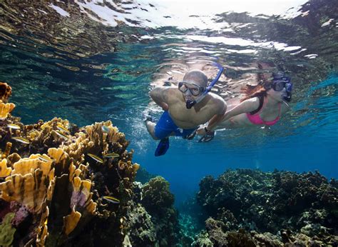 Belize Snorkeling Resorts | Snorkeling Vacations | Reef Packages