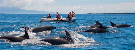 Galapagos Islands Snorkeling Tour - Coral Triangle Adventures