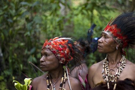 Papua New Guinea Tribeswomen Photograph by Polly Rusyn - Fine Art America