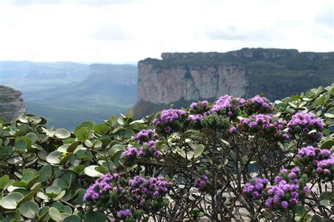 Diamond Highlands (A Chapada Diamantina). ~ TOUR GUIDE