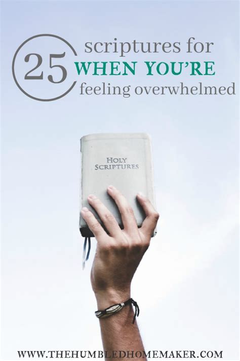 25 Scriptures For When You're Feeling Overwhelmed