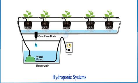 What is the Hydroponic System - Netsol Water