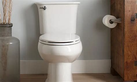 5 Best Sterling Toilets: Is It Really a Good Toilet Brand? - Toilet ...