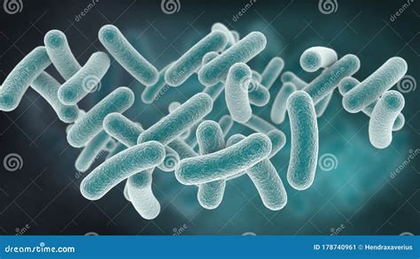 Rod Shaped Bacteria. 3D Rendering Stock Illustration - Illustration of ...