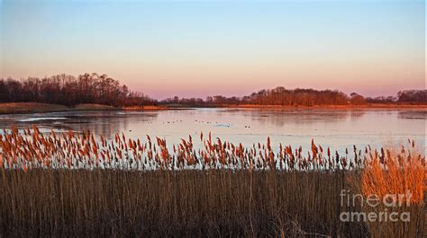 Bombay Hook Sunrise Photograph by Robert Pilkington - Fine Art America