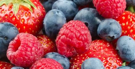 The 6 Best High Antioxidant Fruits / Nutrition / Healthy Eating