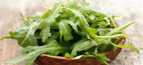 Arugula Nutrition, Benefits and Salad Recipes - Dr. Axe