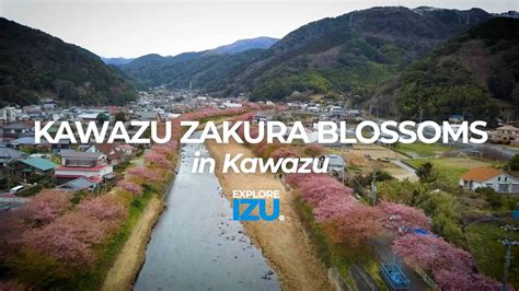 Kawazu | IZU Peninsula - Cherry blossoms, waterfalls, onsen & seafood