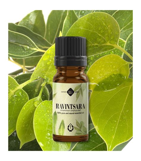 Ravintsara pure essential oil (cinnamomum camphora)