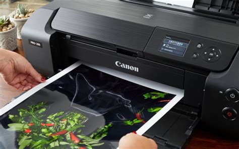 5 Ways to Fix Your Canon Printer if It's Not Printing Black